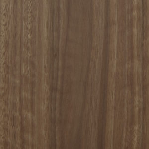 MAISON SPOTTED GUM SWATCH 2