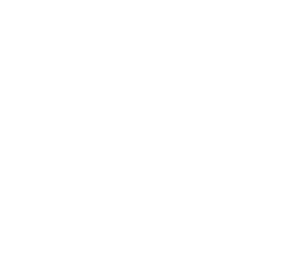 SKALA white logo