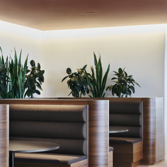 Curved booth seating at NAB Adelaide HQ, crafted from Lignapal Spotted Gum veneer. The warm timber tones complement the plush upholstered seating and greenery, creating a refined and inviting flexible workspace designed by Woods Bagot.